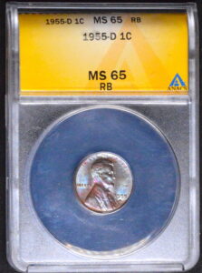 1955-D MONSTER BLUEBERRY Toned Lincoln Wheat Cent ANACS MS65 RED BROWN!