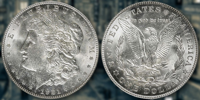 1921 Morgan Dollar : A Collector’s Guide