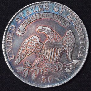 1829 Capped Bust Half Dollar VF Blueberry Razzle Dazzle Reverse Toned!