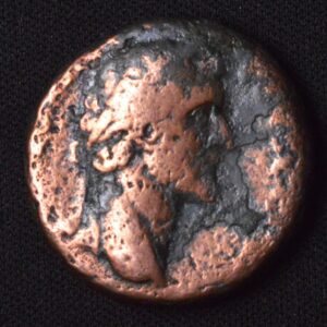 Ancient Roman Copper Bronze (Will be Attributed Later)