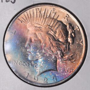 1923 Peace Dollar Monster Toned RAW