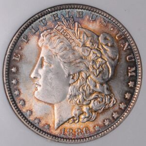 1886 Morgan Silver Dollar Perfect Cheek (Like our 69!) NGC MS63 Old Holder