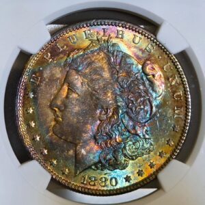 1880-P Morgan Dollar NGC MS64 Electric End Roll Toning!