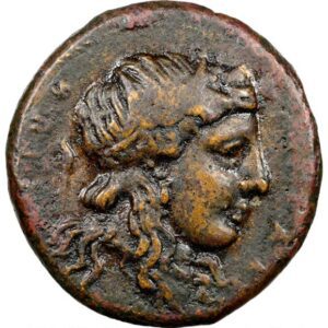SICILY. Syracuse. Hicetas (ca. 288-279/278 BC). AE litra (23mm, 10.12 gm, 11h). NGC VF 5/5 - 2/5