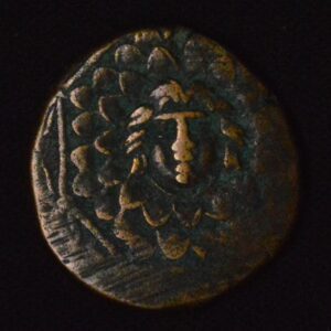 Ancient Greek Pontos Gorgo Mesua AE Coin