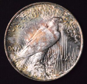 1923 PEACE DOLLAR BEAUTIFUL REVERSE SPLOTCH TONING UNC