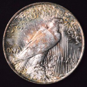 1923 PEACE DOLLAR BEAUTIFUL REVERSE SPLOTCH TONING UNC